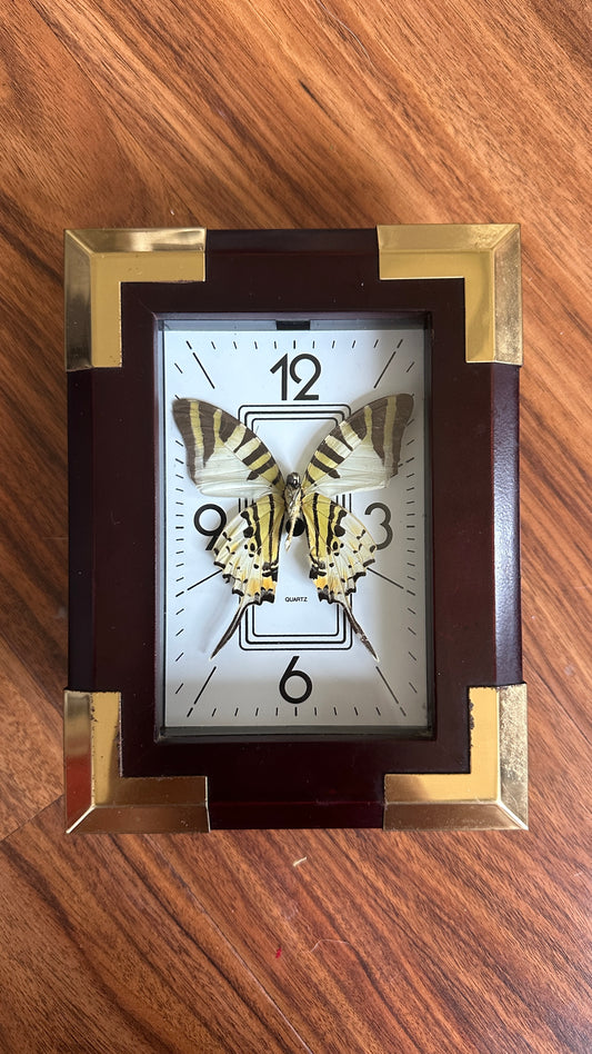 Clock Shadow Box Butterfly