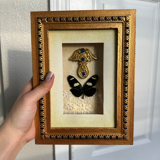 Doris Butterfly Gold Shadow Box