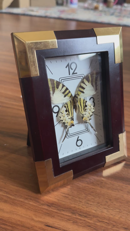 Clock Shadow Box Butterfly